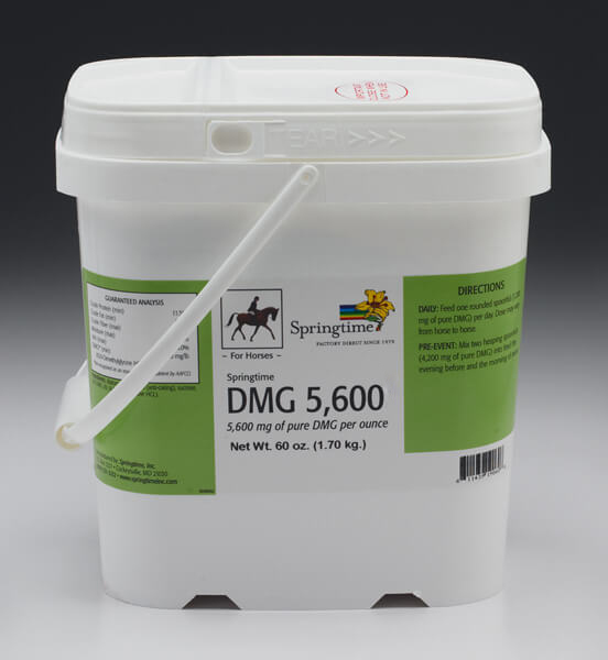 Dmg Supplement For Horses